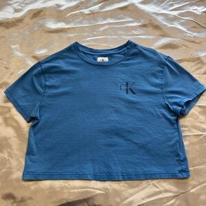 Calvin Klein Kids Blue T-Shirt
